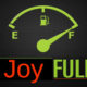 Joy Full