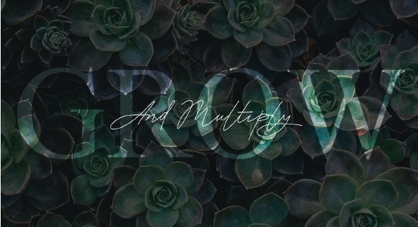 Grow and multiply